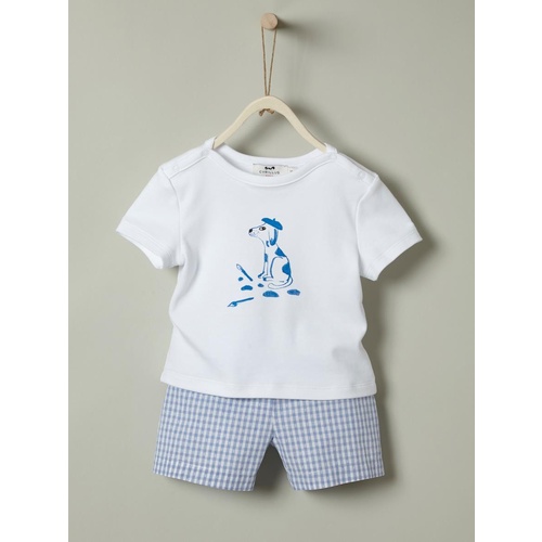 Baby's T-shirt and shorts outfit