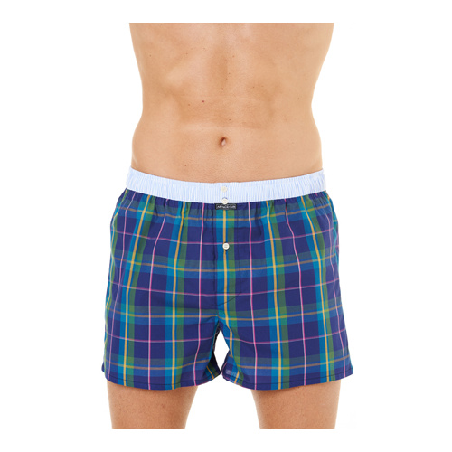 ARTHUR CLUB BOXER CSPCL484, Arthur