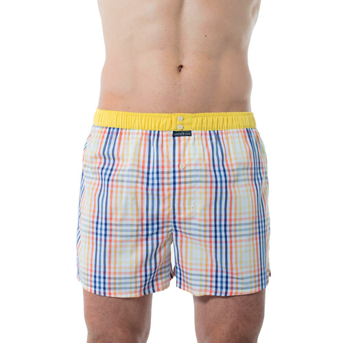 ARTHUR CLUB BOXER CSPCL502, Arthur