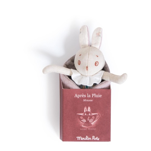 Apres la pluie Mousse the small rabbit