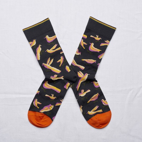 Dark Birds, Bonne Maison